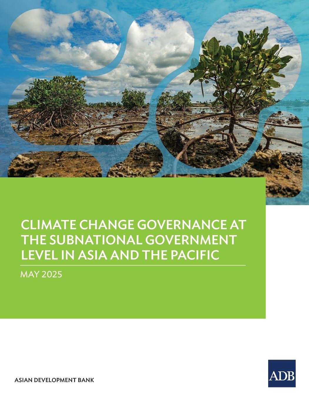 Climate Change Governance at the Subnational Government Level in Asia and the Pacific Law
