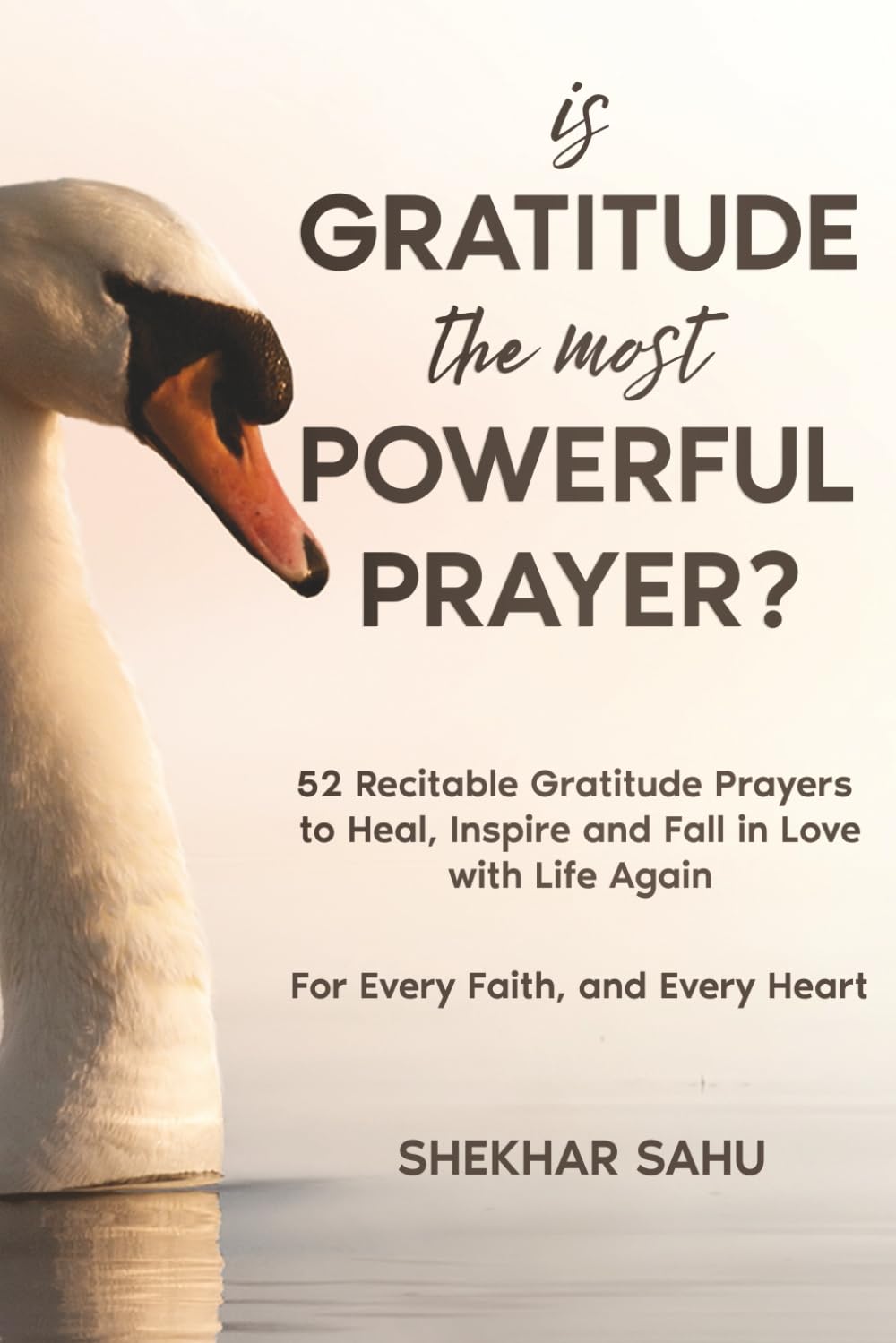 Is Gratitude the Most Powerful Prayer?: 52 Recitable Gratitude Prayers to Heal, Inspire, and Fall in Love with Life Again (Infinite Gratitude Project) Lifestyle