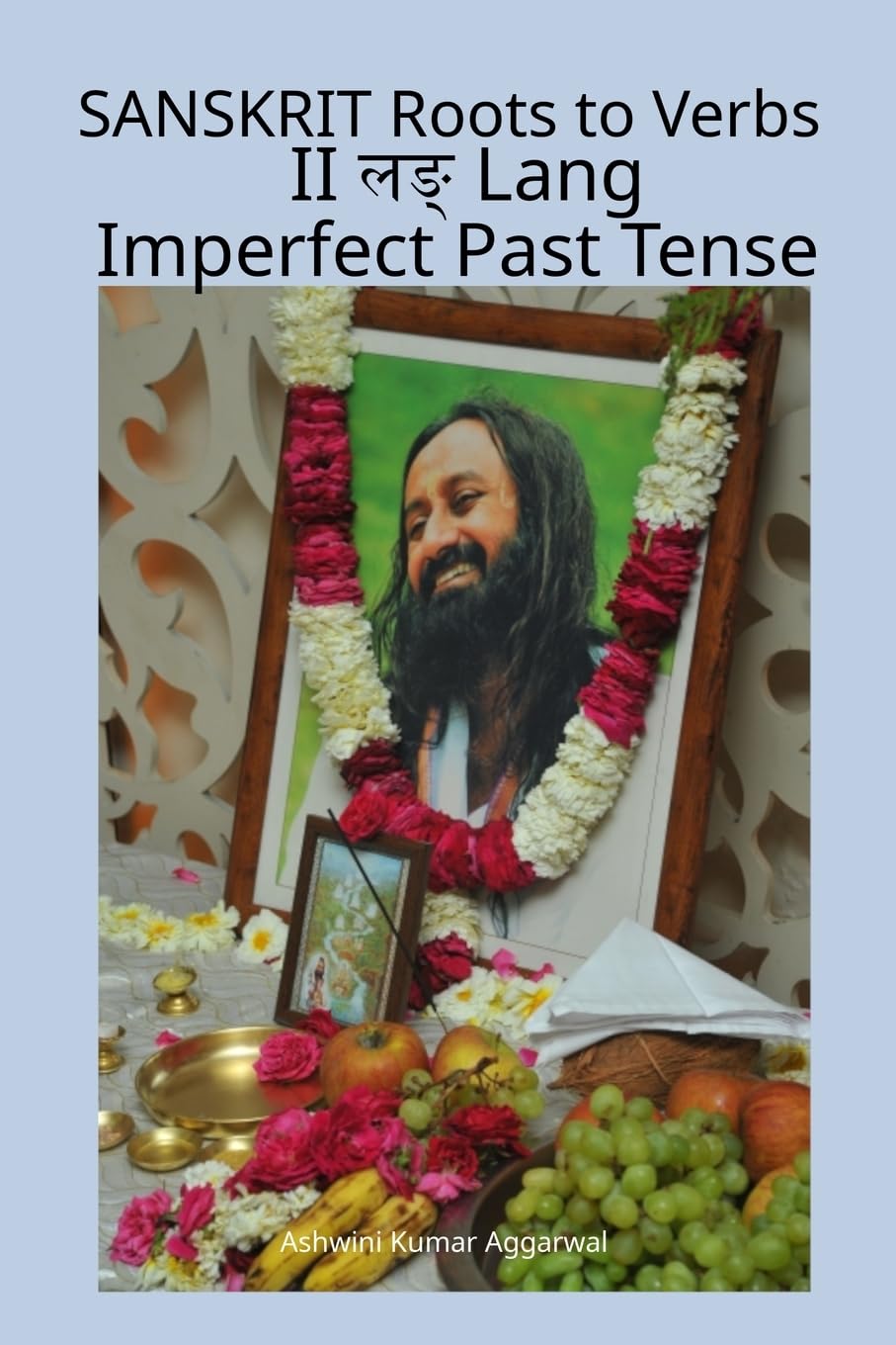 Sanskrit Roots to Verbs II Lang Imperfect Past Tense Foreign Languages ​​& Dictionaries