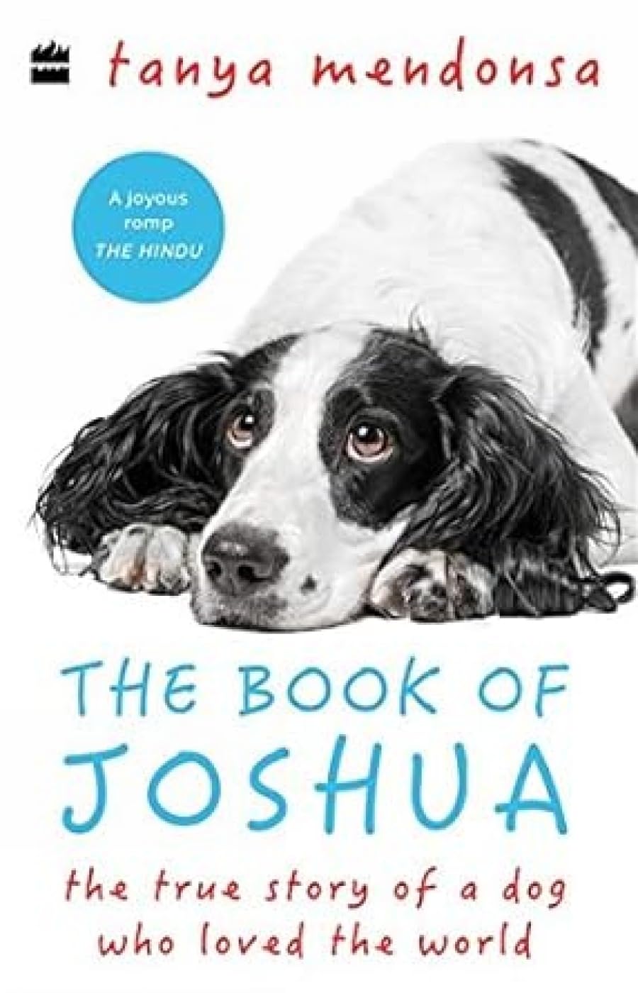 The Book Of Joshua book