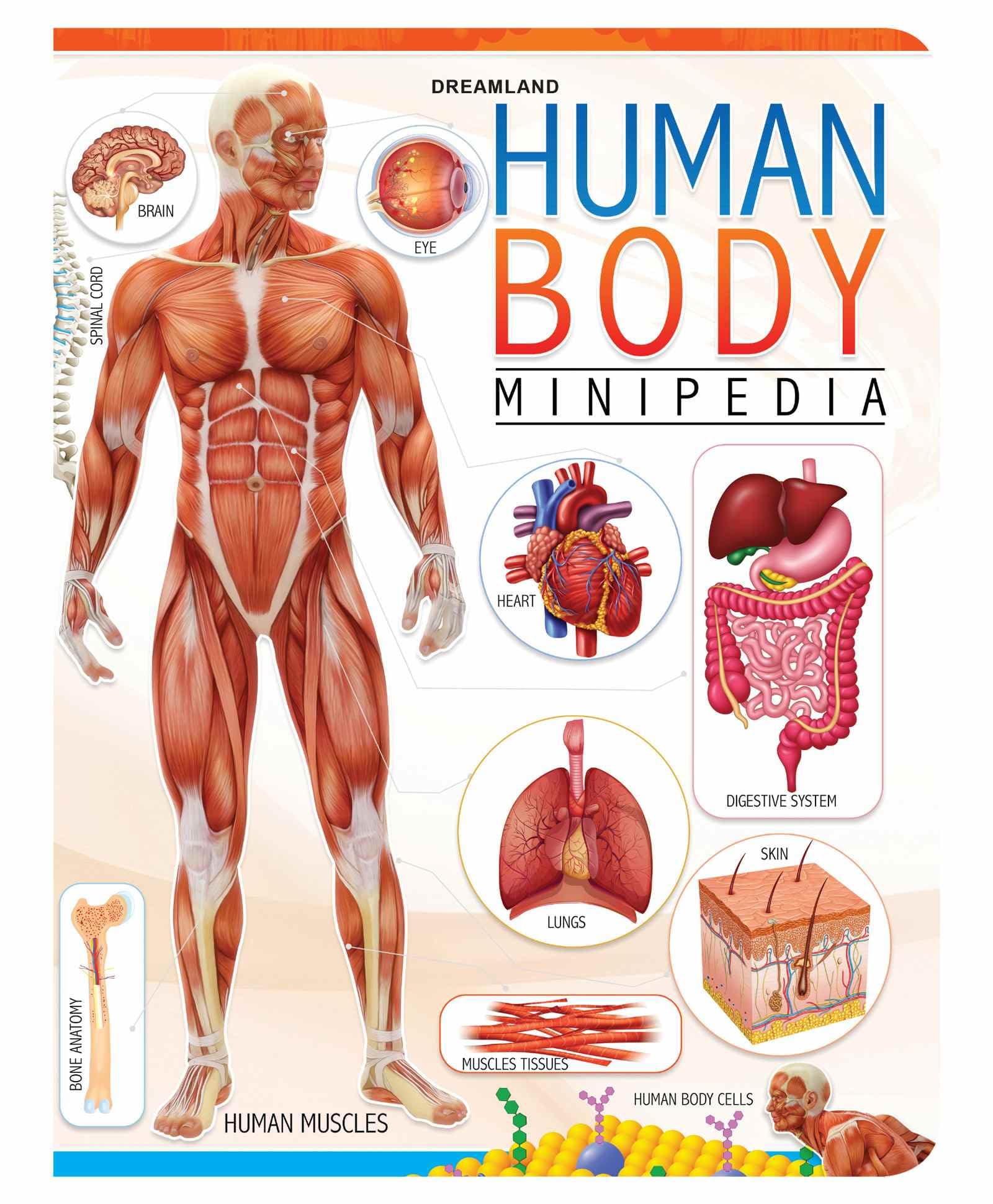 03. HUMAN BODY MINIPEDIA, N/A Books