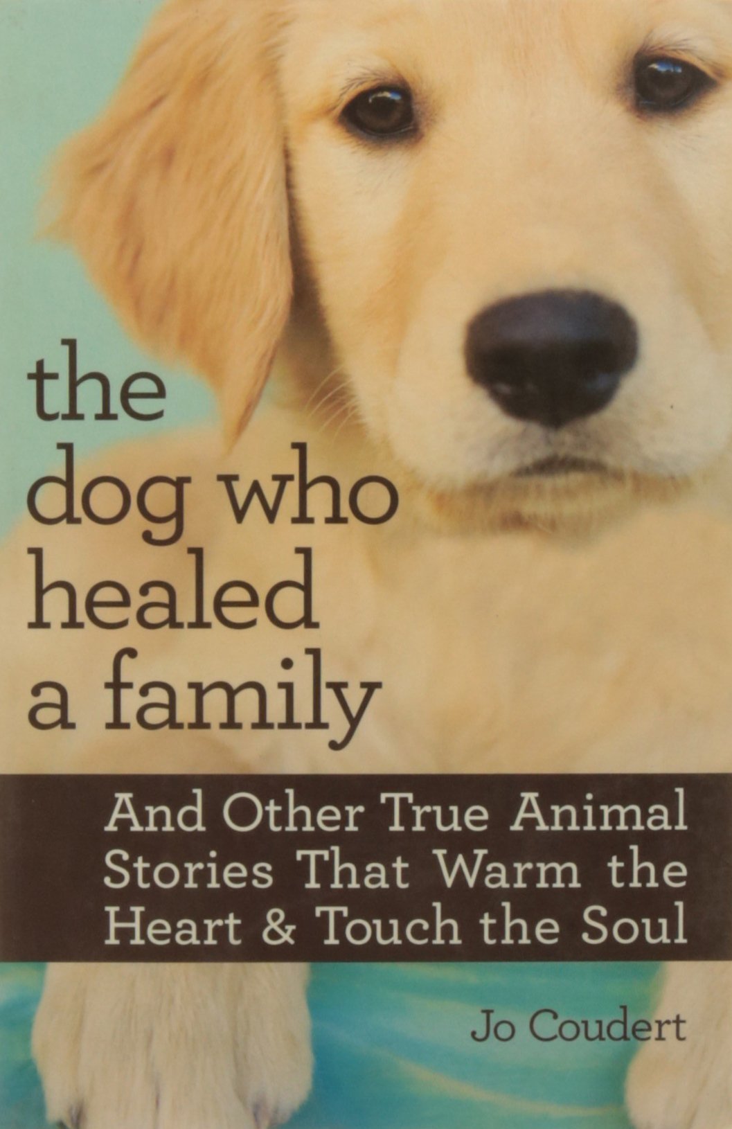 The Dog Who Healed a Family (PB) Coudert J Books