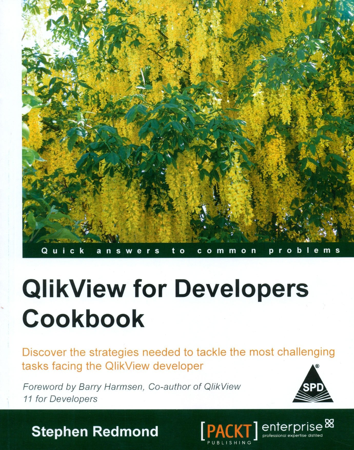 QlikView for Developers Cookbook Business & Technology
