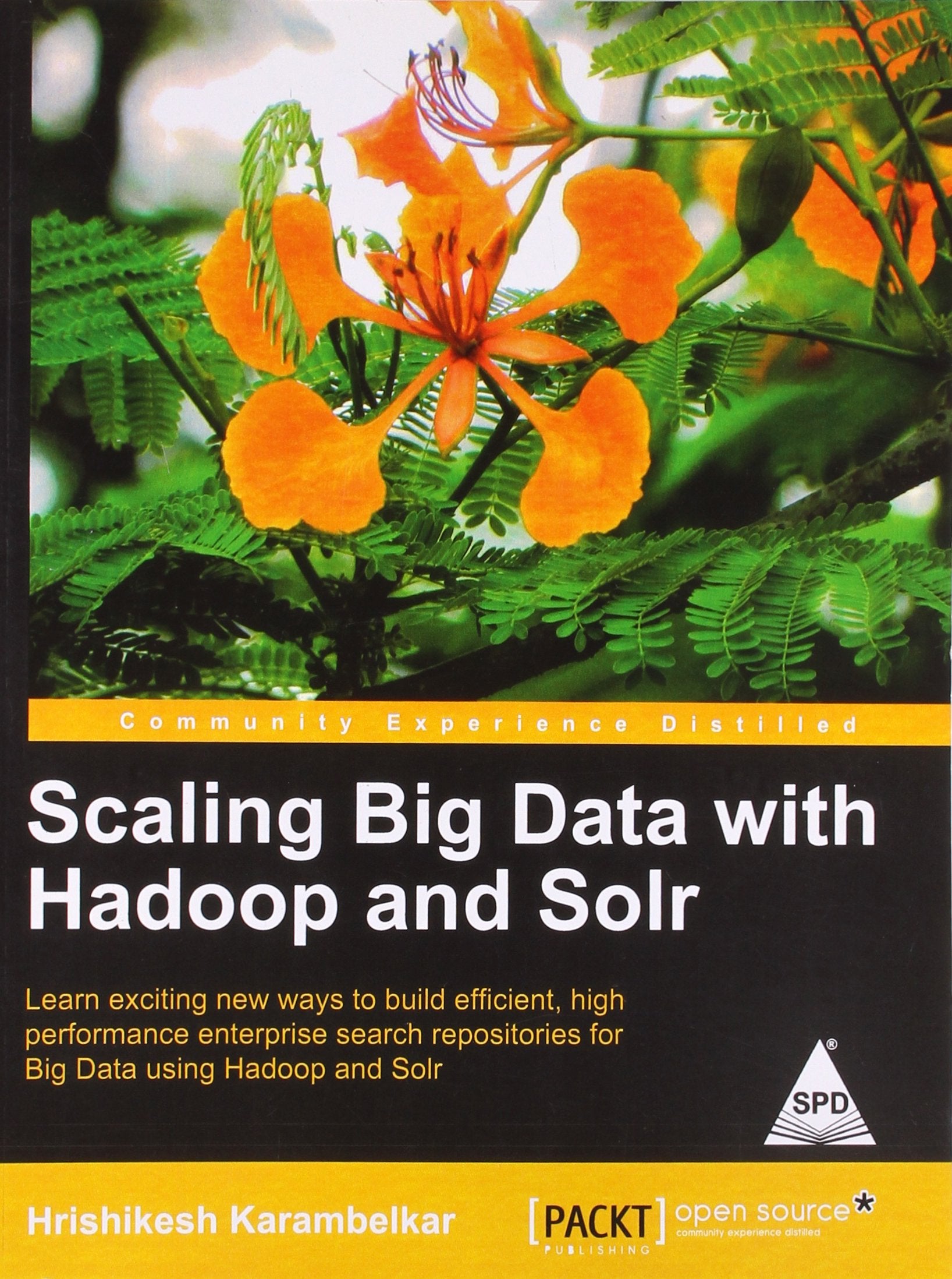 Scaling Big Data with Hadoop and Solr Business & Technology