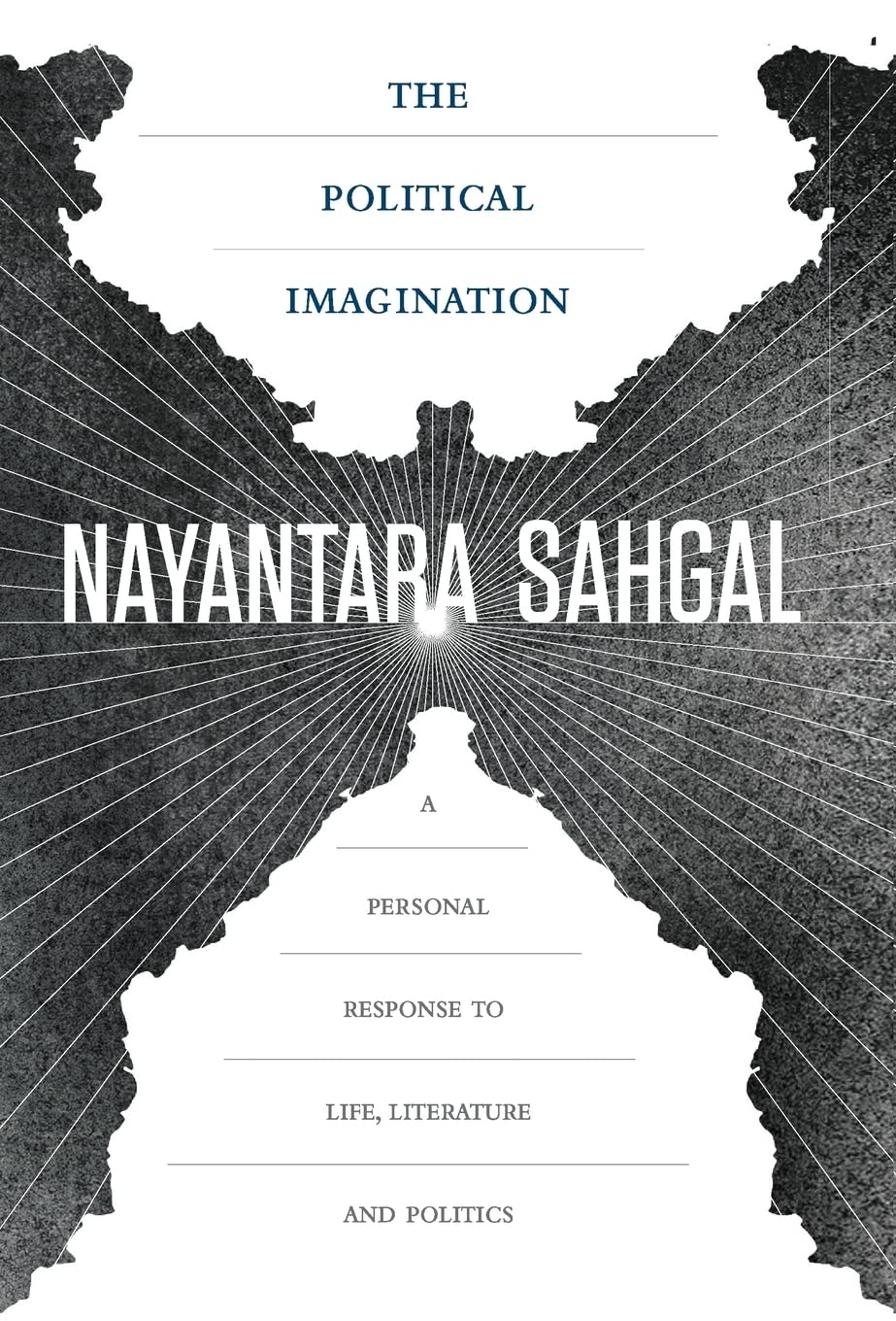 The Political Imagination book