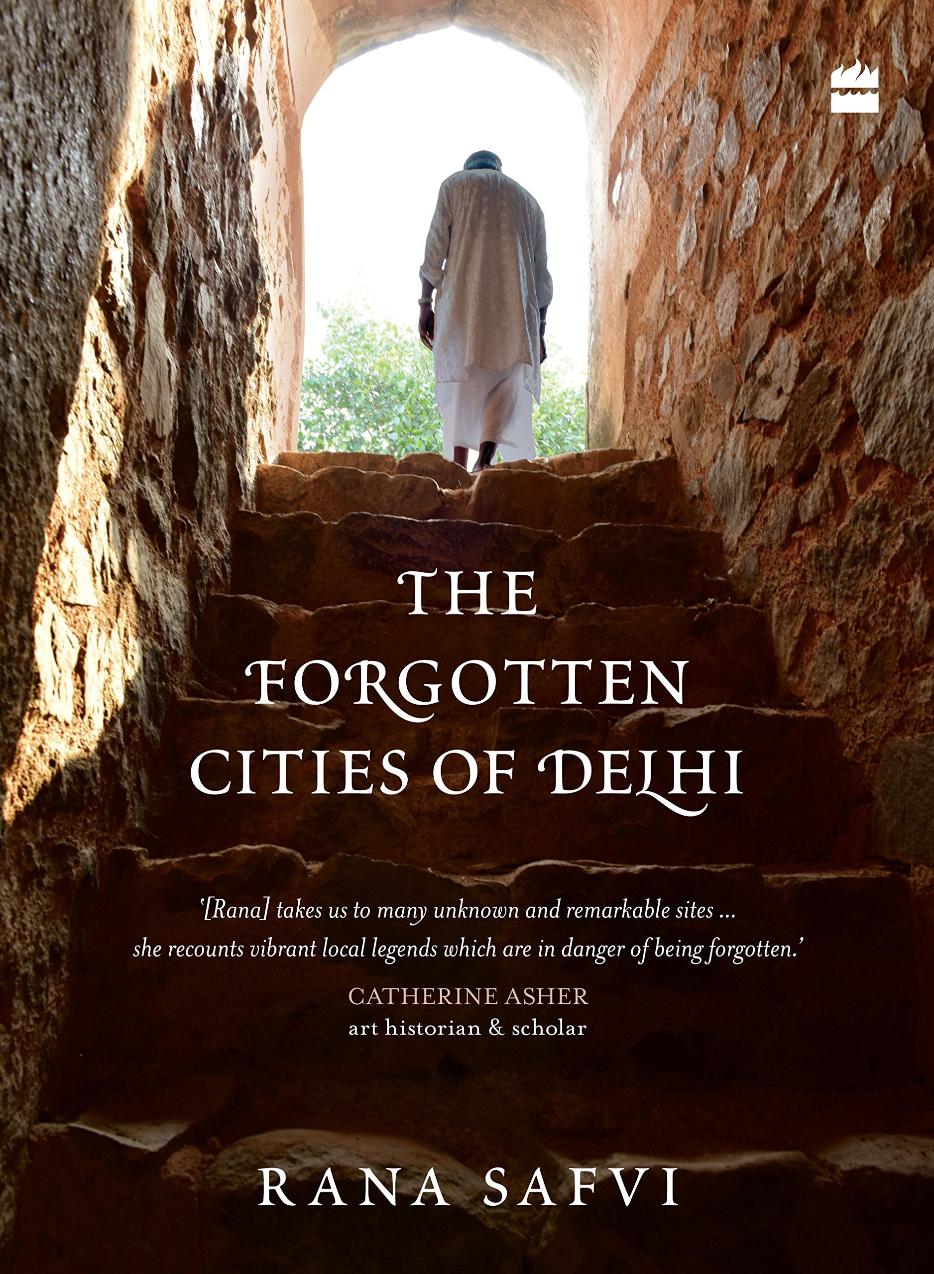 The forgotten cities of Delhi: Book 2 in the where stones speak trilogy Politics & History