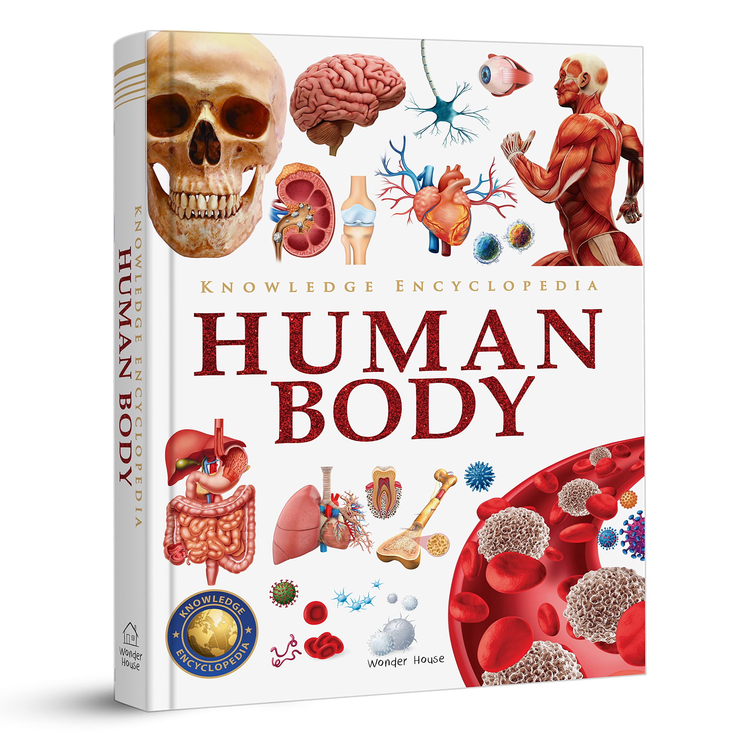 Knowledge Encyclopedia: Human Body (Knowledge Encyclopedia for Children) Non-fiction
