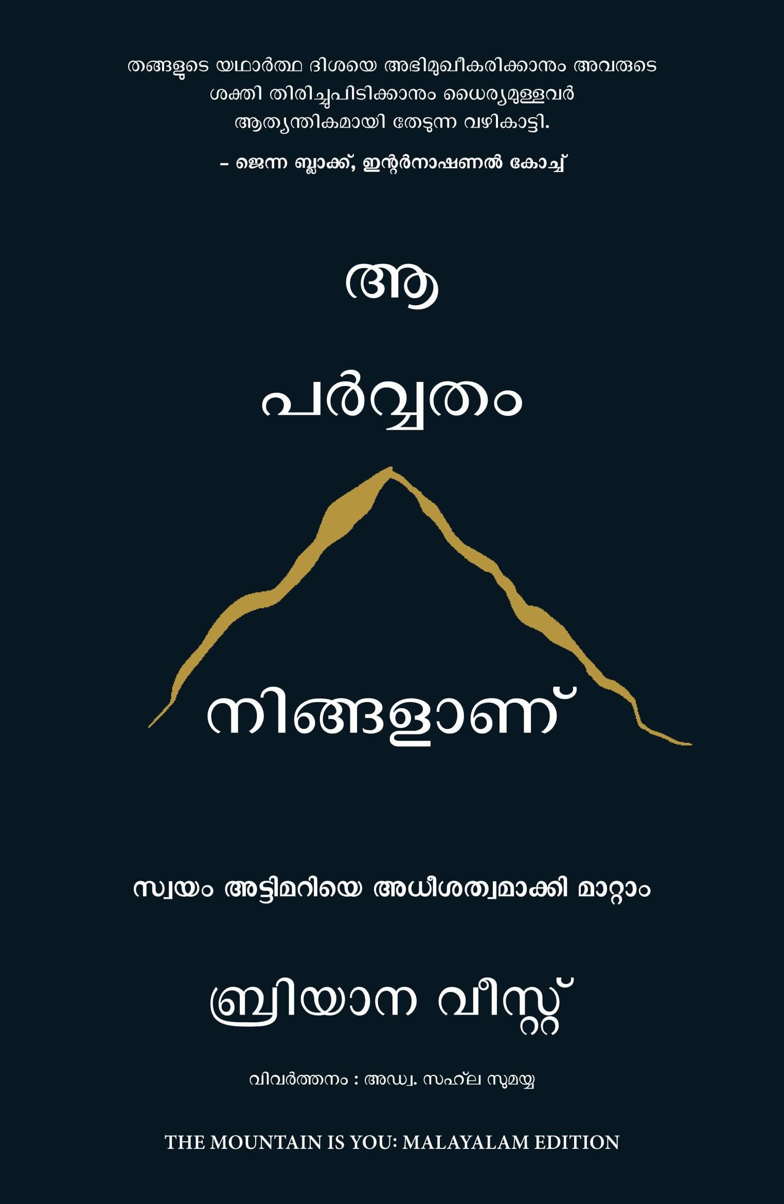 The Mountain is You Contemporary literature
