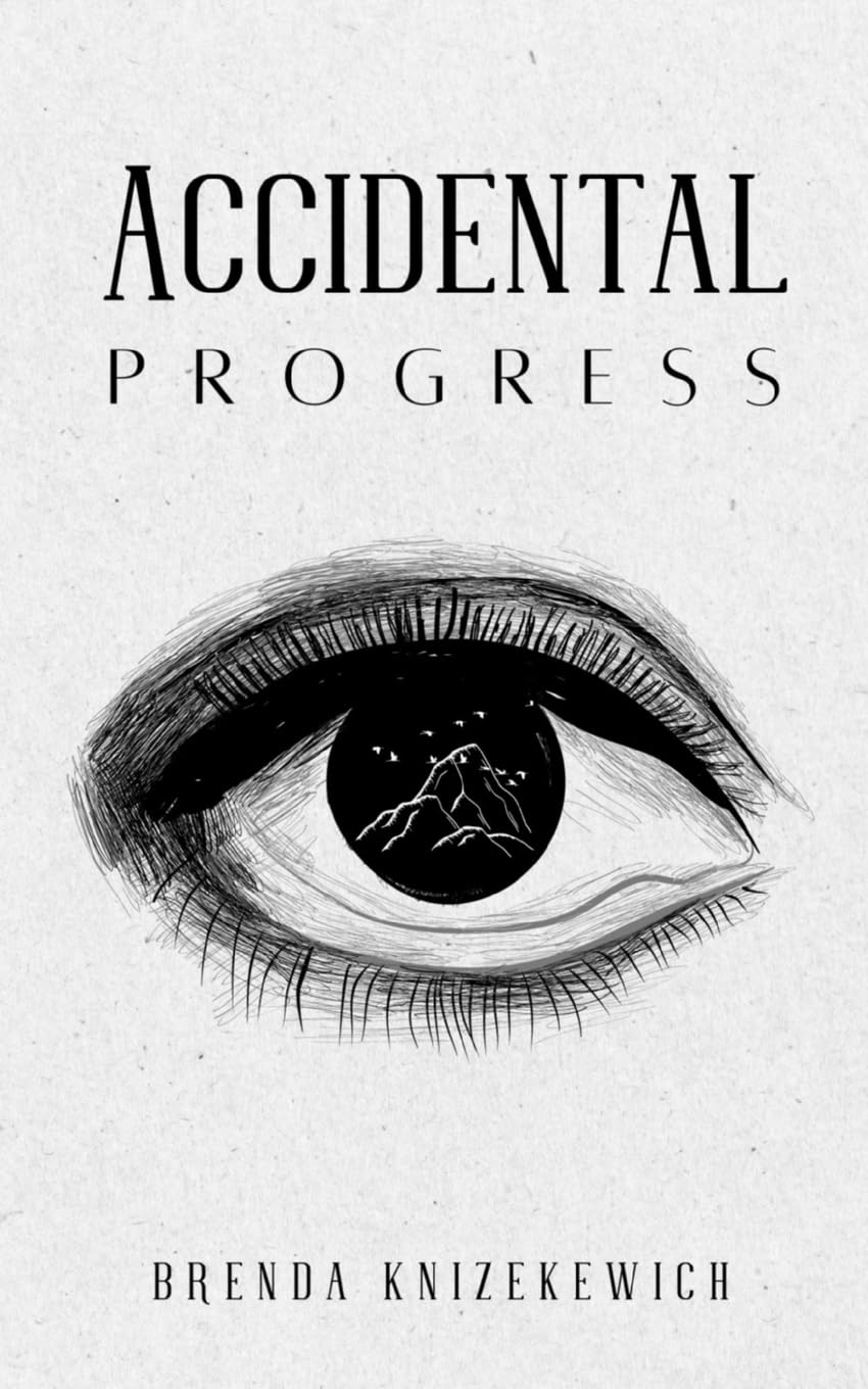 Accidental Progress book