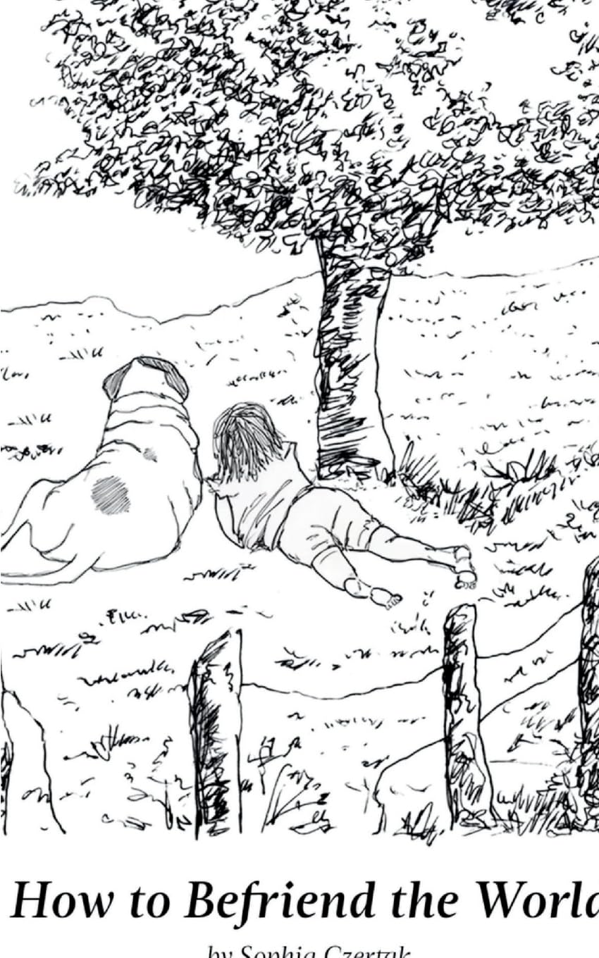 How to Befriend the World Poetry