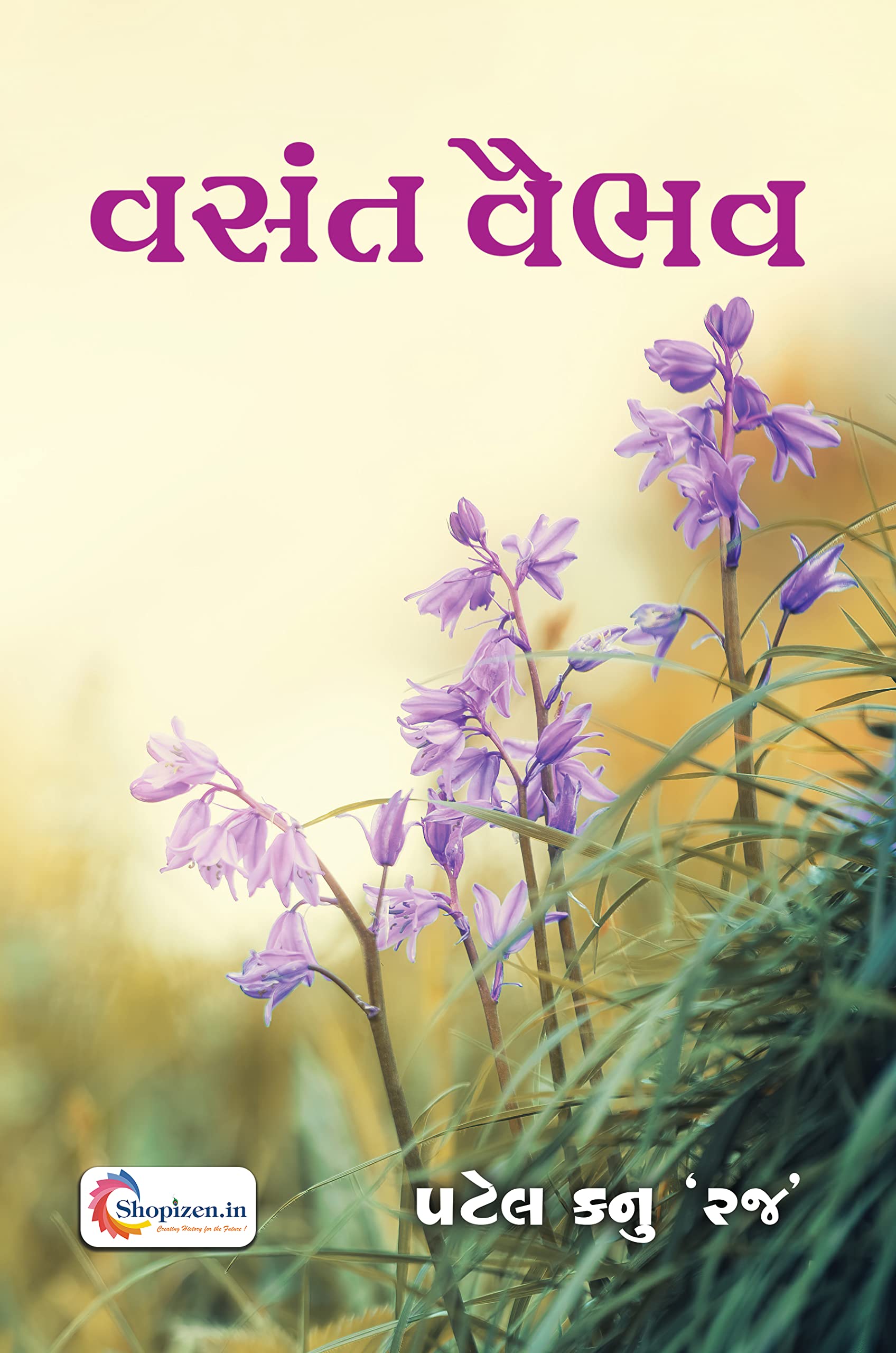 VASANT VAIBHAV by PATEL KANU ‘RAJ’ - Gujarati 2023 Edition – Shopizen.in Books