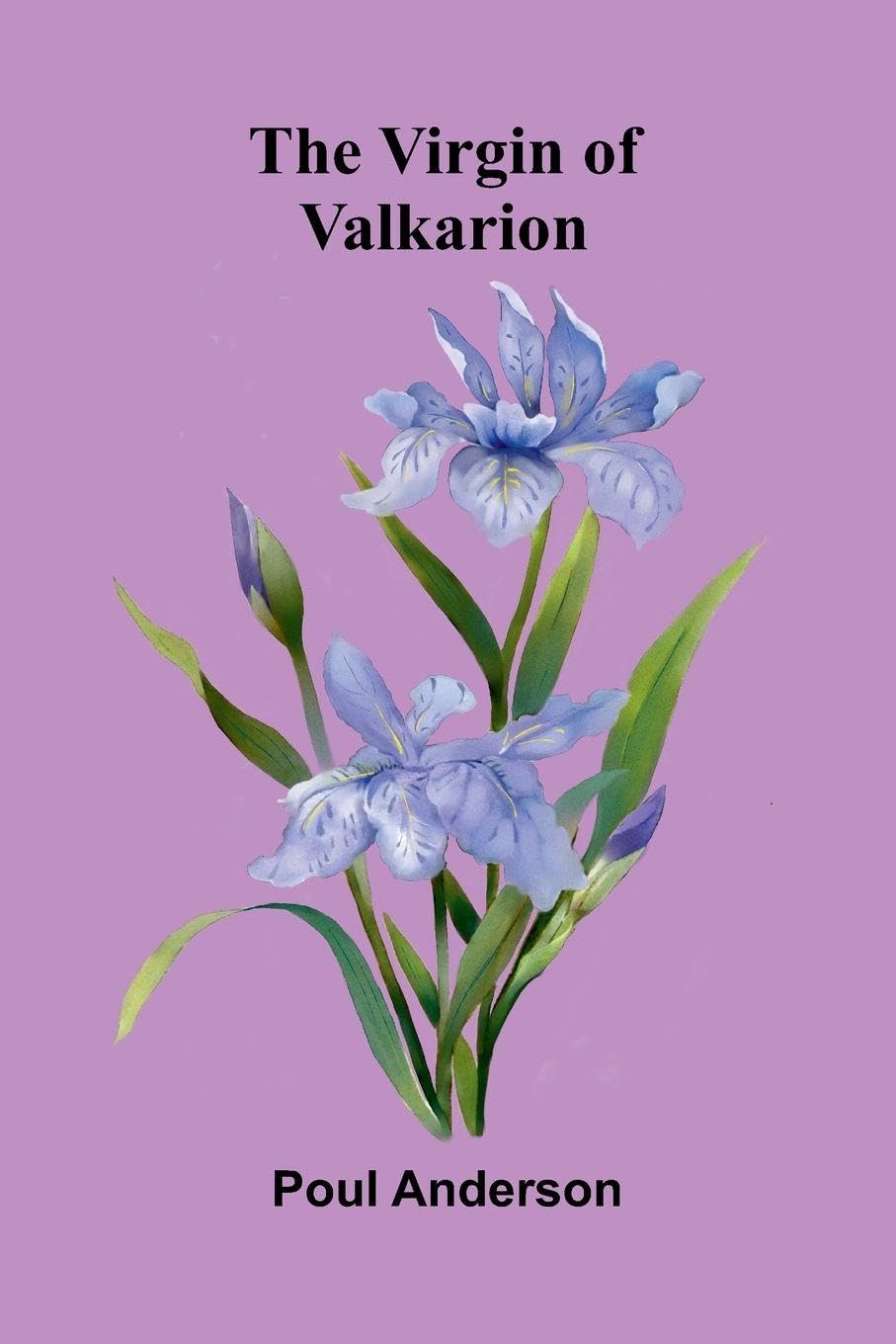 The Virgin of Valkarion book