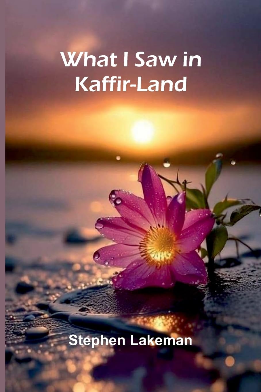 Product Image: What I Saw In Kaffir-Land