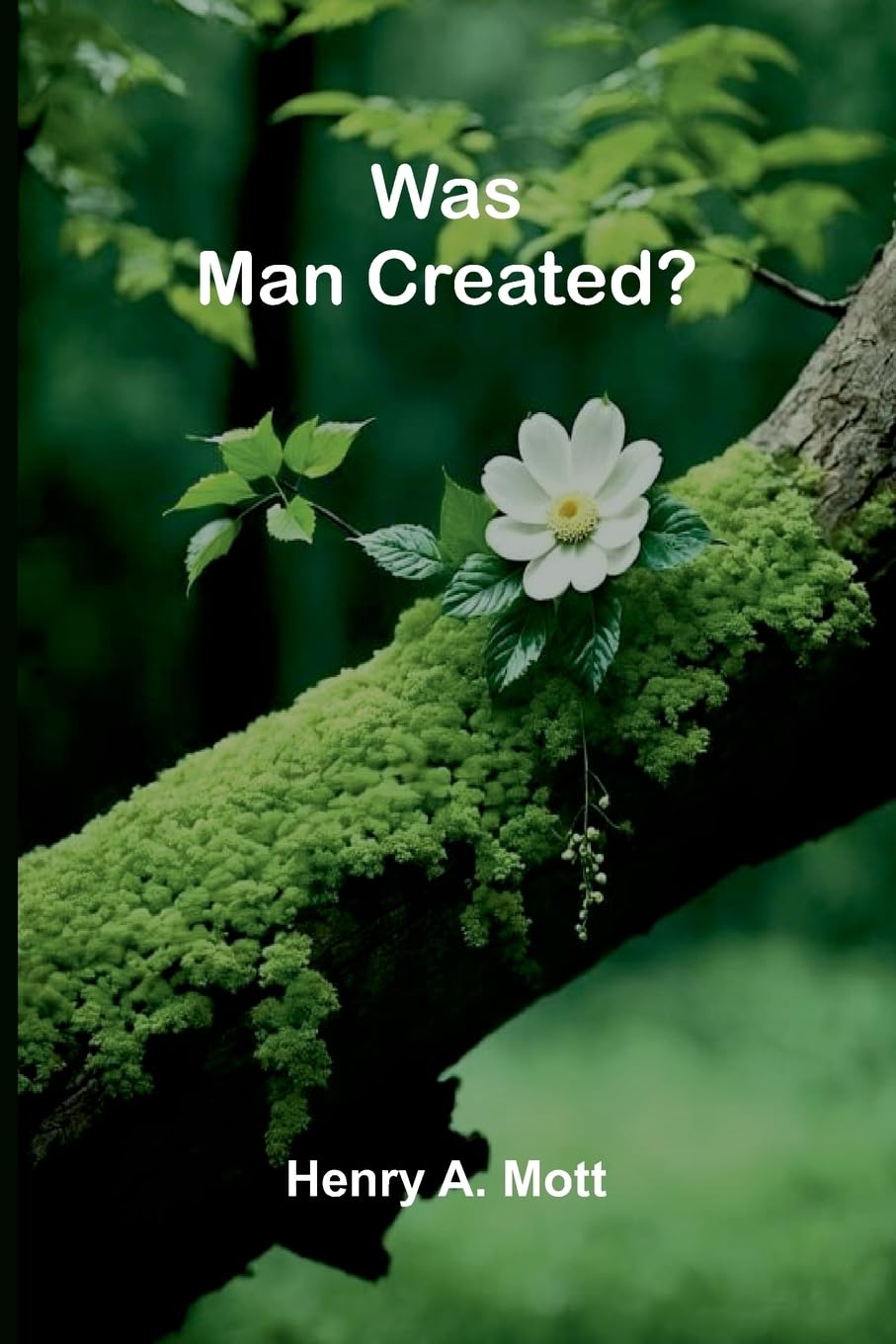 Was Man Created? Philosophy