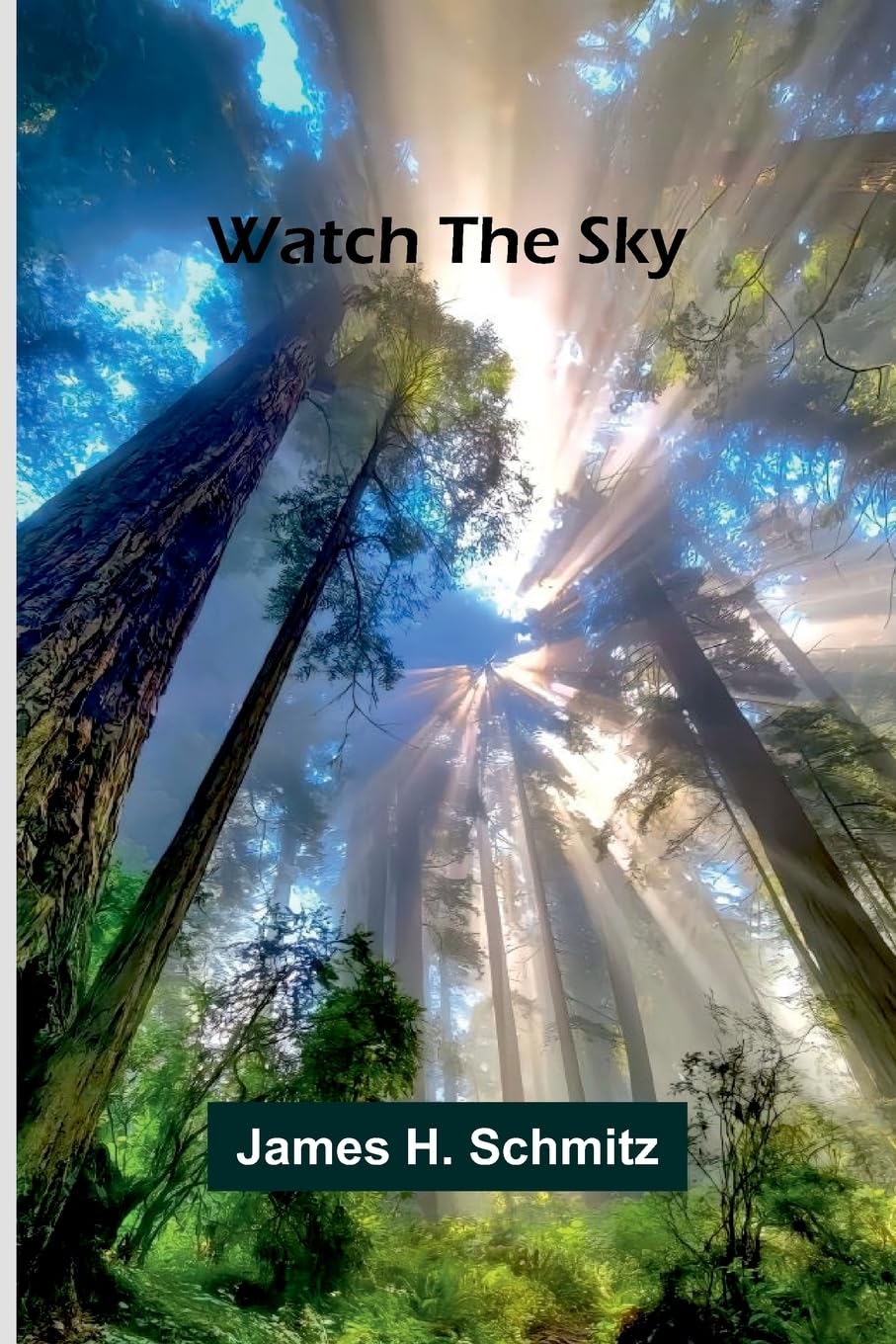 Product Image: Watch The Sky