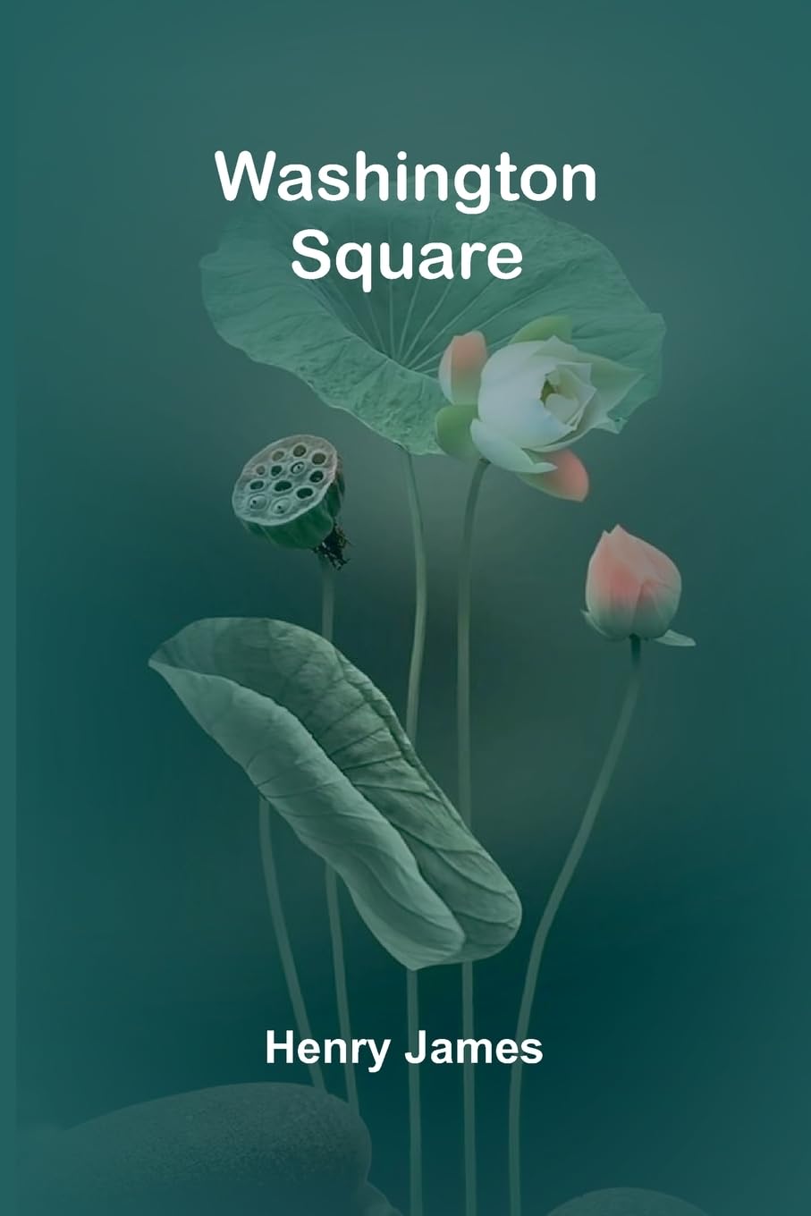 Washington Square Contemporary literature