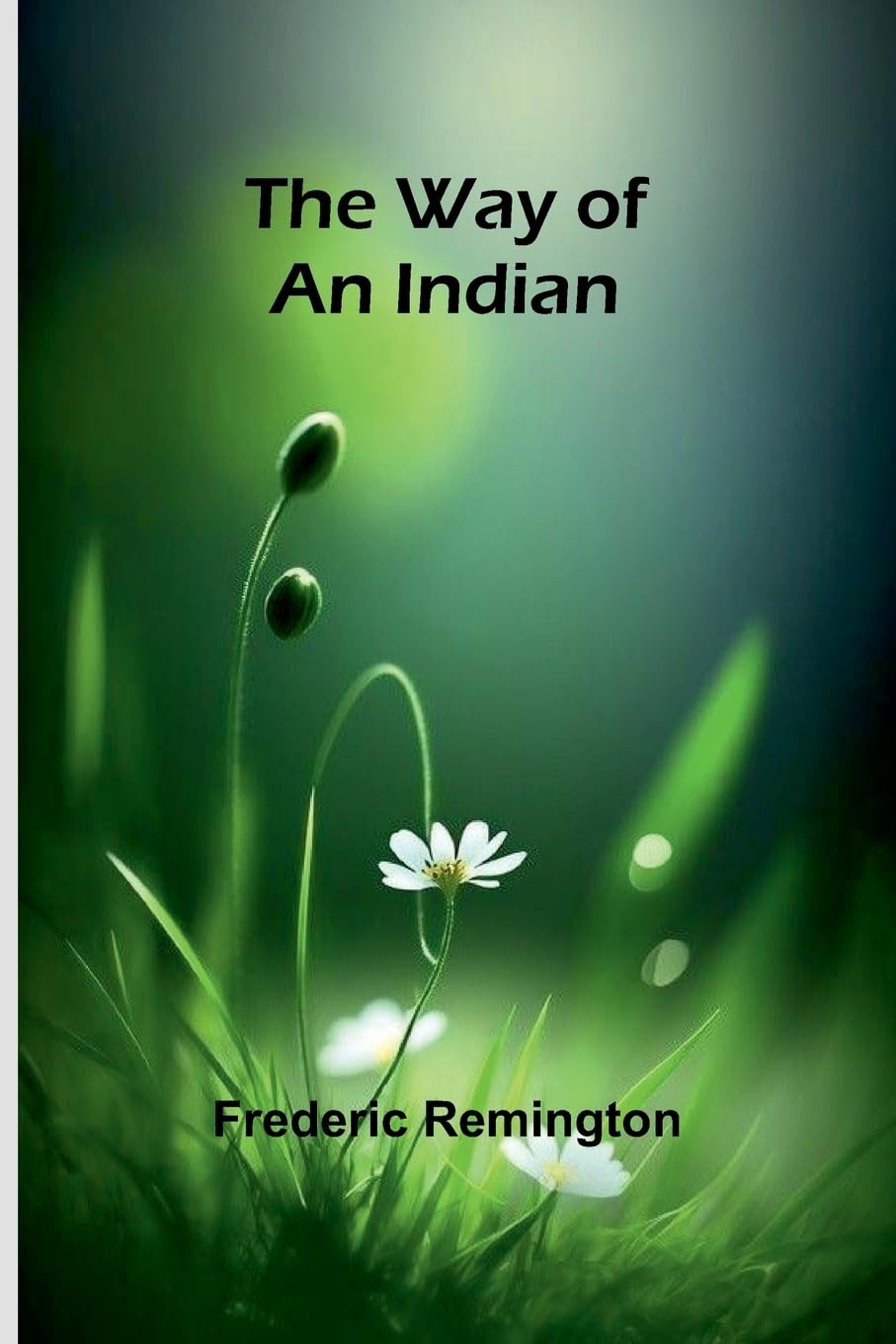 The Way Of An Indian Historical Fiction
