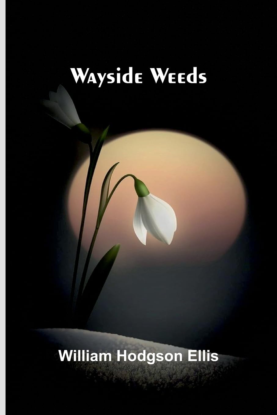 Product Image: Wayside Weeds
