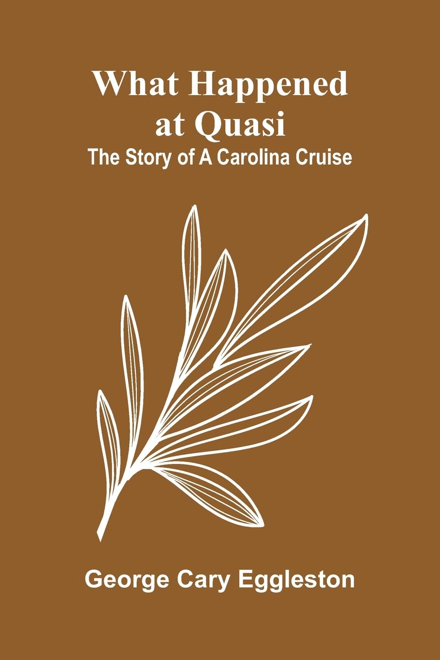 Product Image: What Happened At Quasi