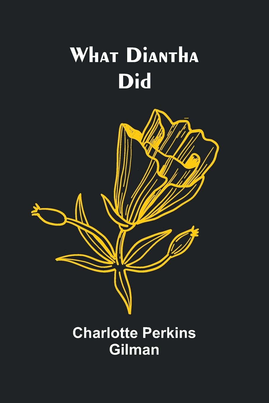 Product Image: What Diantha Did