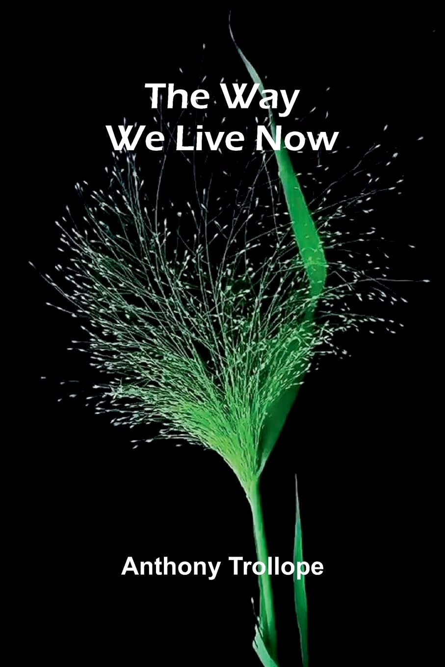 Product Image: The Way We Live Now