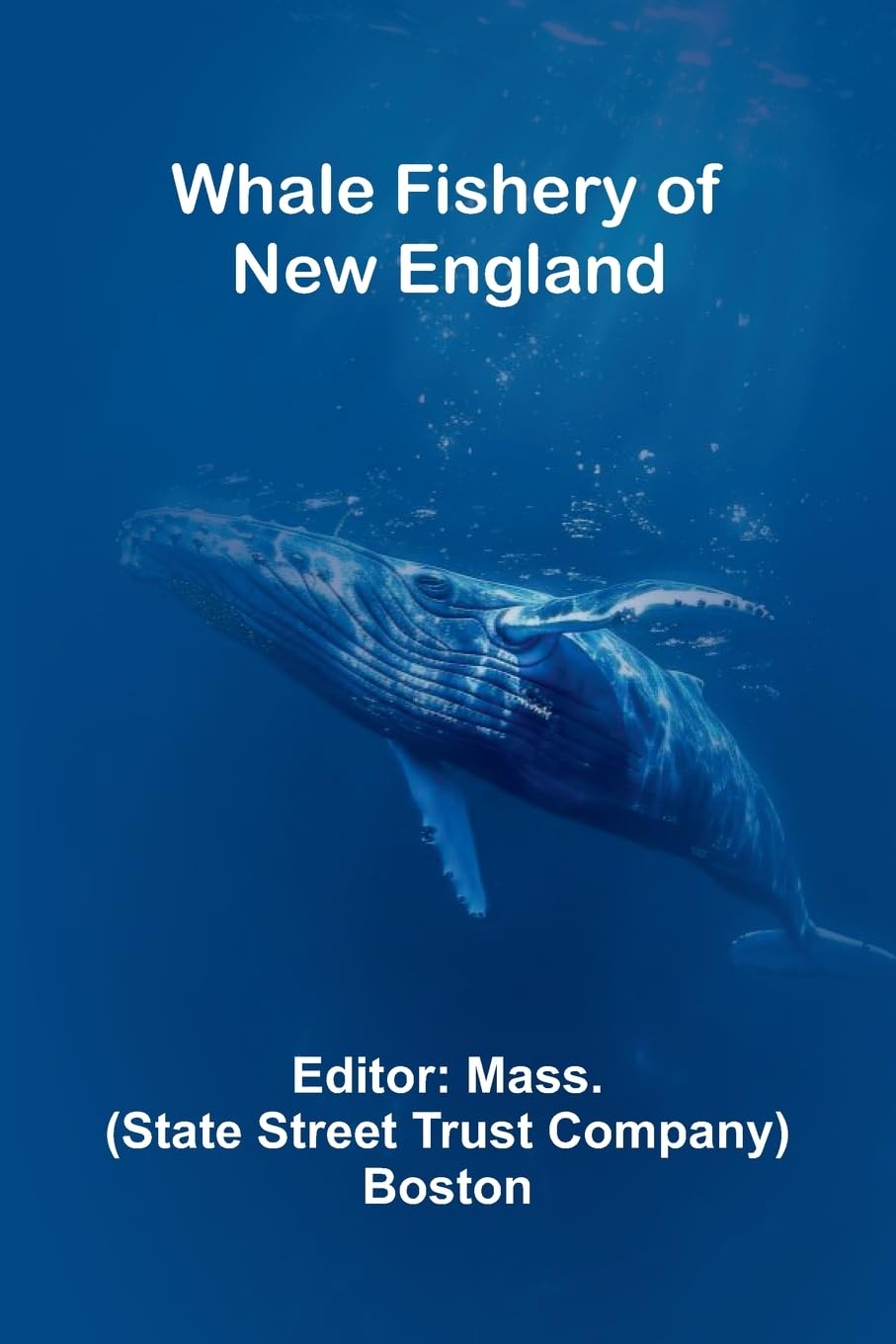Whale Fishery Of New England Business & Technology
