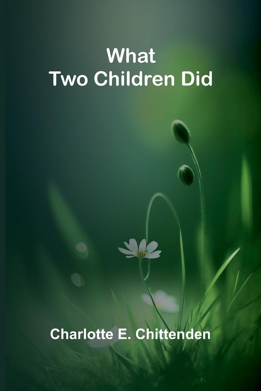 Product Image: What Two Children Did