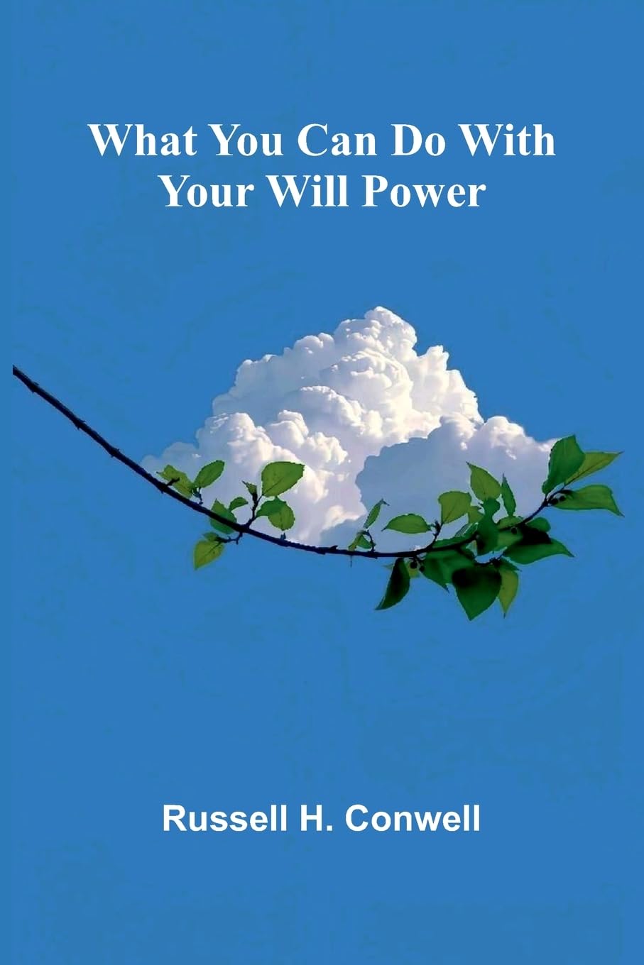 What You Can Do With Your Will Power Business, Finance & Career