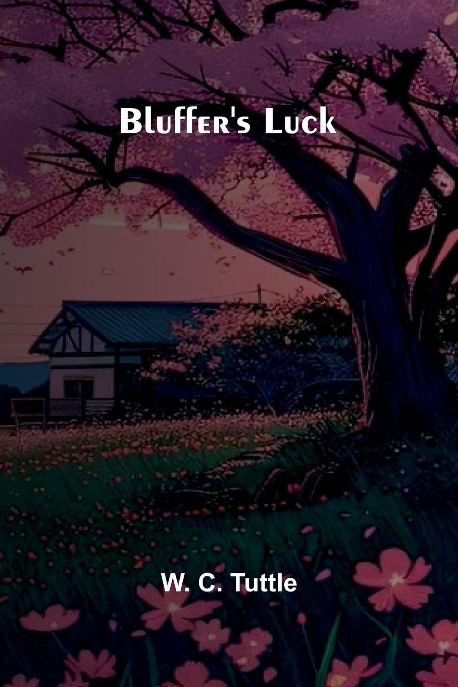 Bluffer'S Luck Action & Adventure