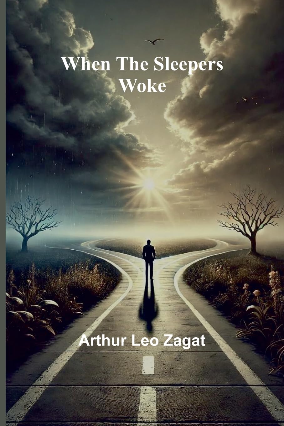 Product Image: When The Sleepers Woke