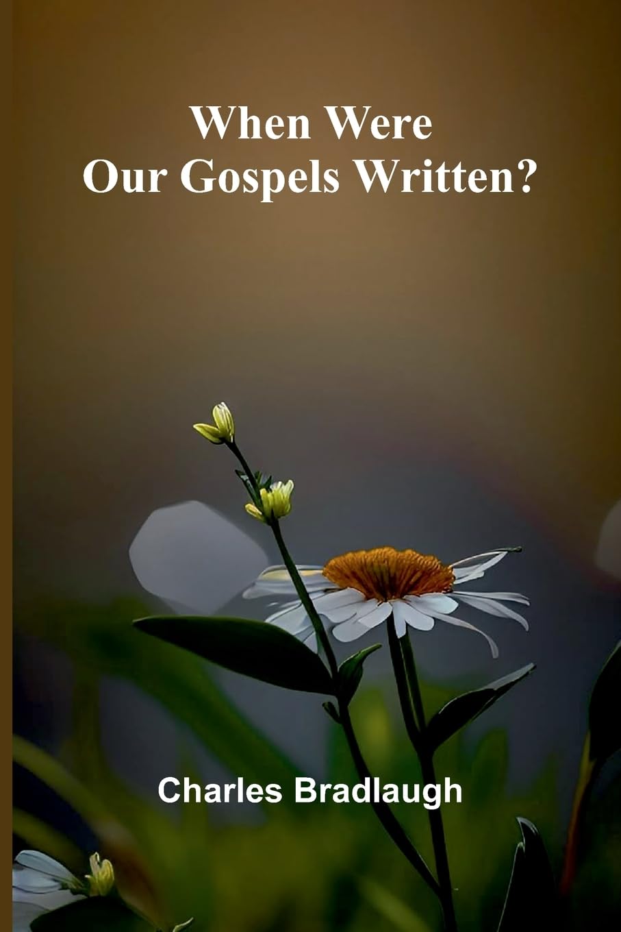 Product Image: When Were Our Gospels Written?