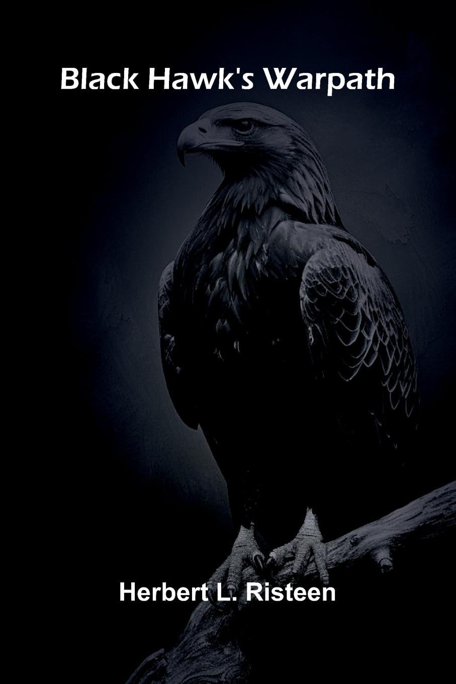 Product Image: Black Hawk'S Warpath