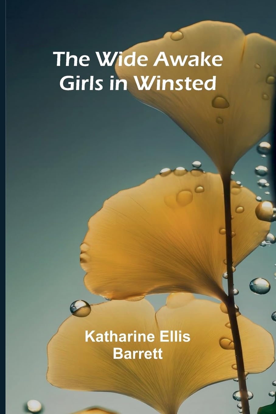 The Wide Awake Girls in Winsted Classics
