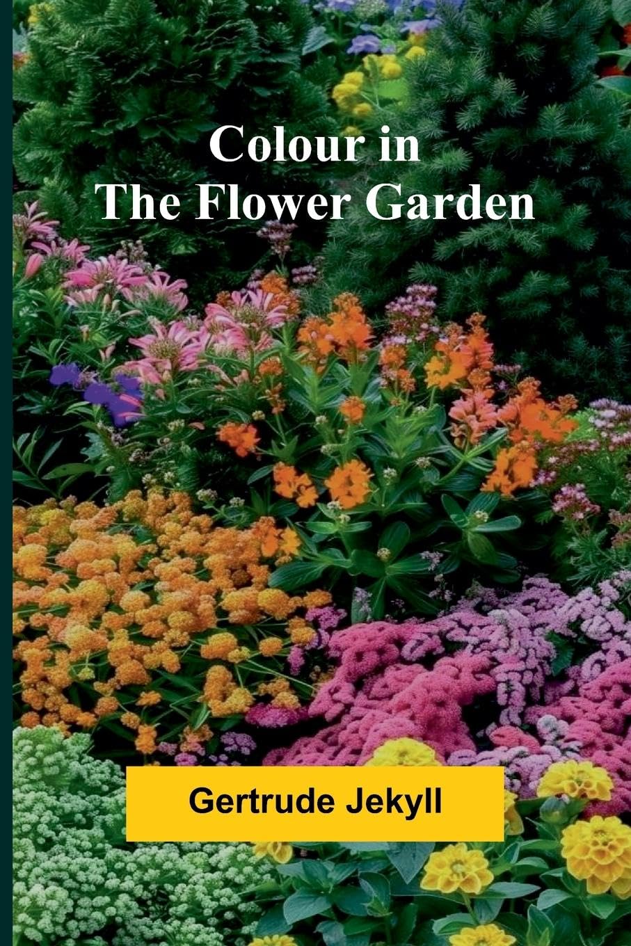 Colour In The Flower Garden Garden & Plants
