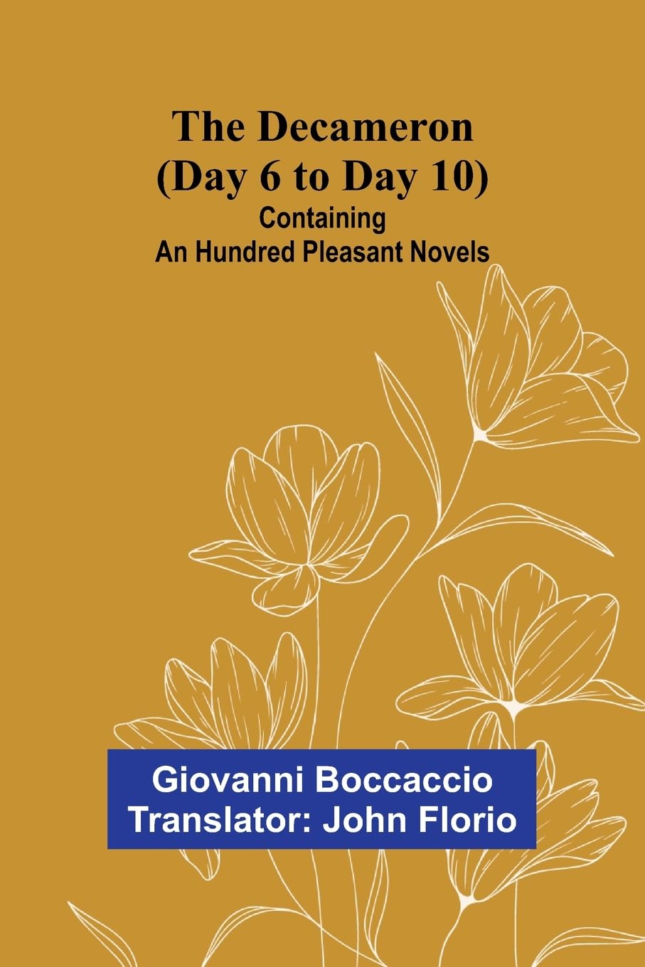 The Decameron (Day 6 To Day 10); Containing An Hundred Pleasant Novels Classics