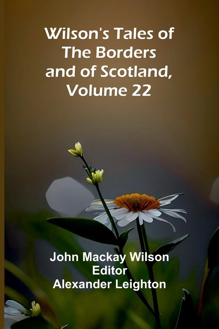 Wilson's Tales of the Borders and of Scotland, Volume 22 Contemporary literature