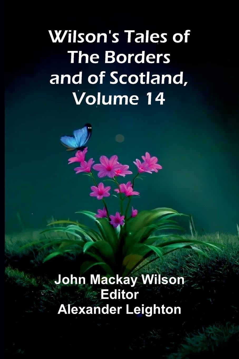 Wilson's Tales of the Borders and of Scotland, Volume 14 Horror & Mystery