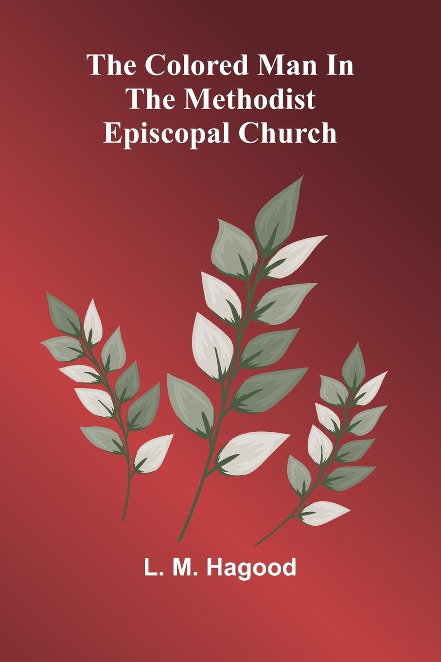 The Colored Man In The Methodist Episcopal Church Religion & Esotericism
