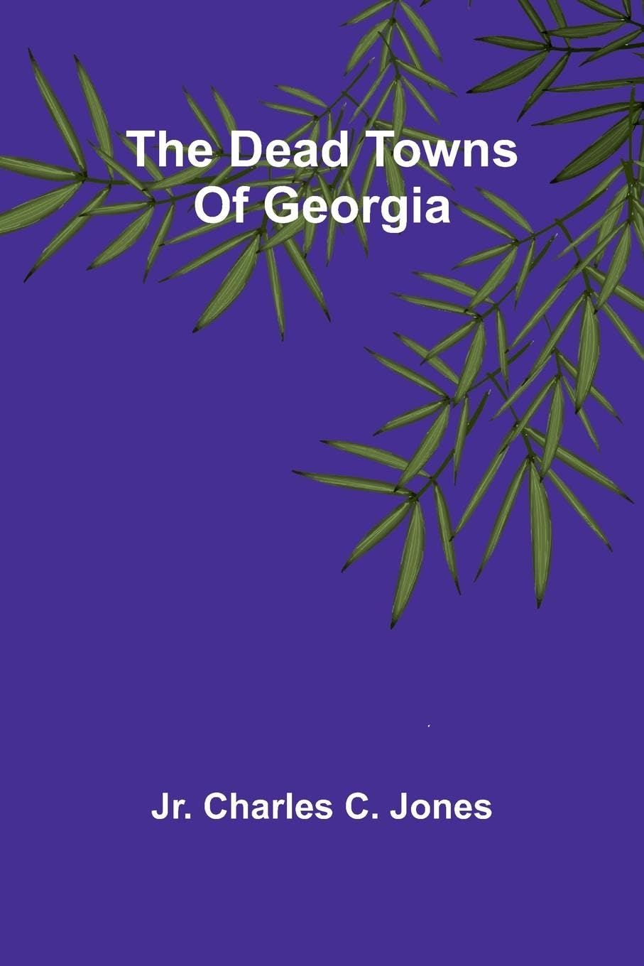 The Dead Towns Of Georgia Leisure, Home & Garden