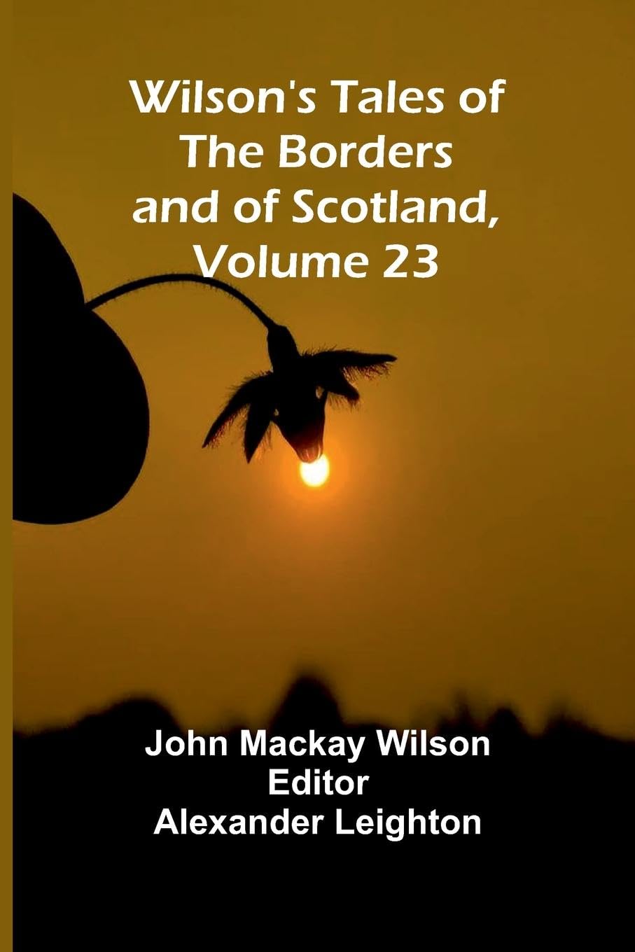 Wilson's Tales of the Borders and of Scotland, Volume 23 Contemporary literature
