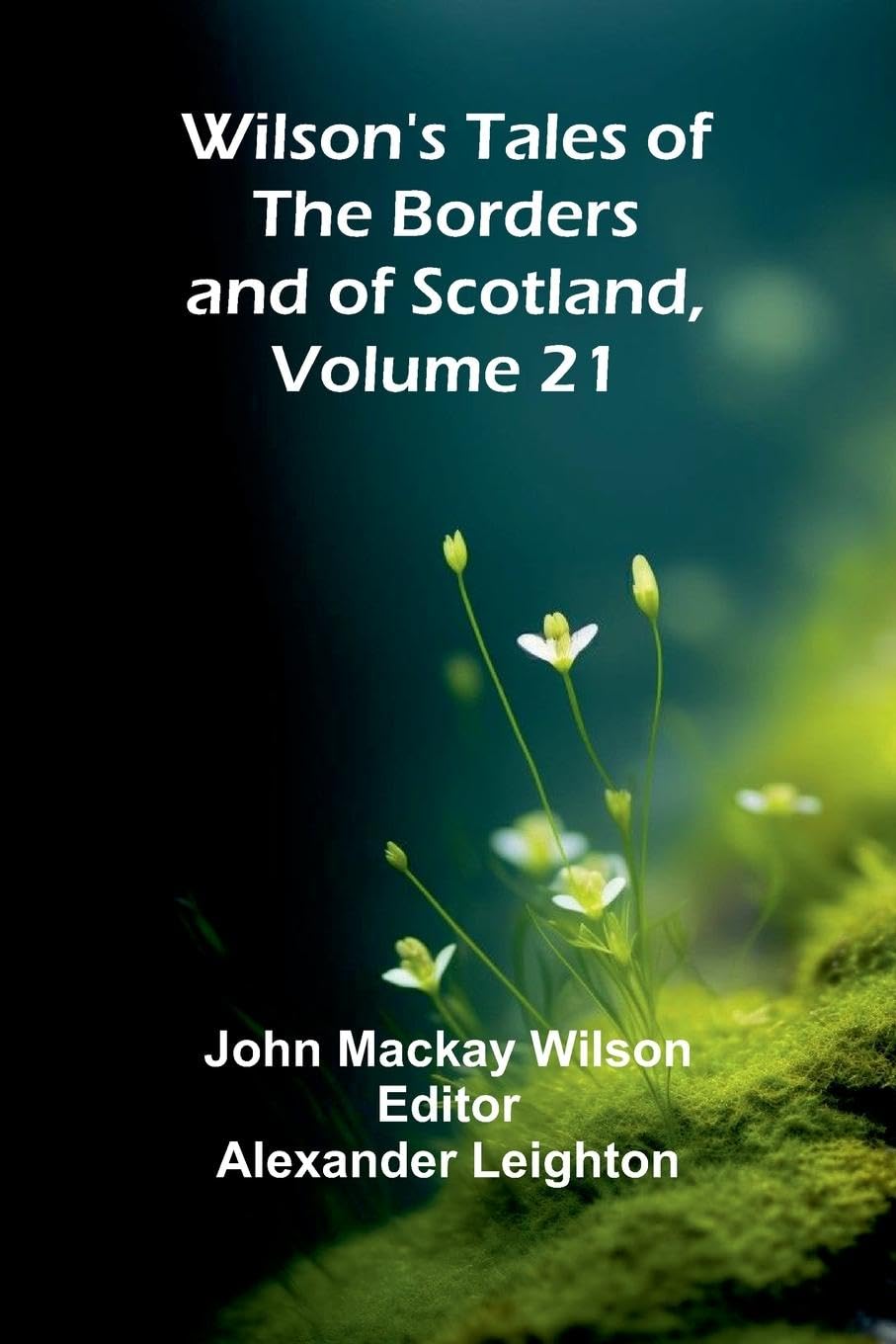 Wilson's Tales of the Borders and of Scotland, Volume 21 Contemporary literature
