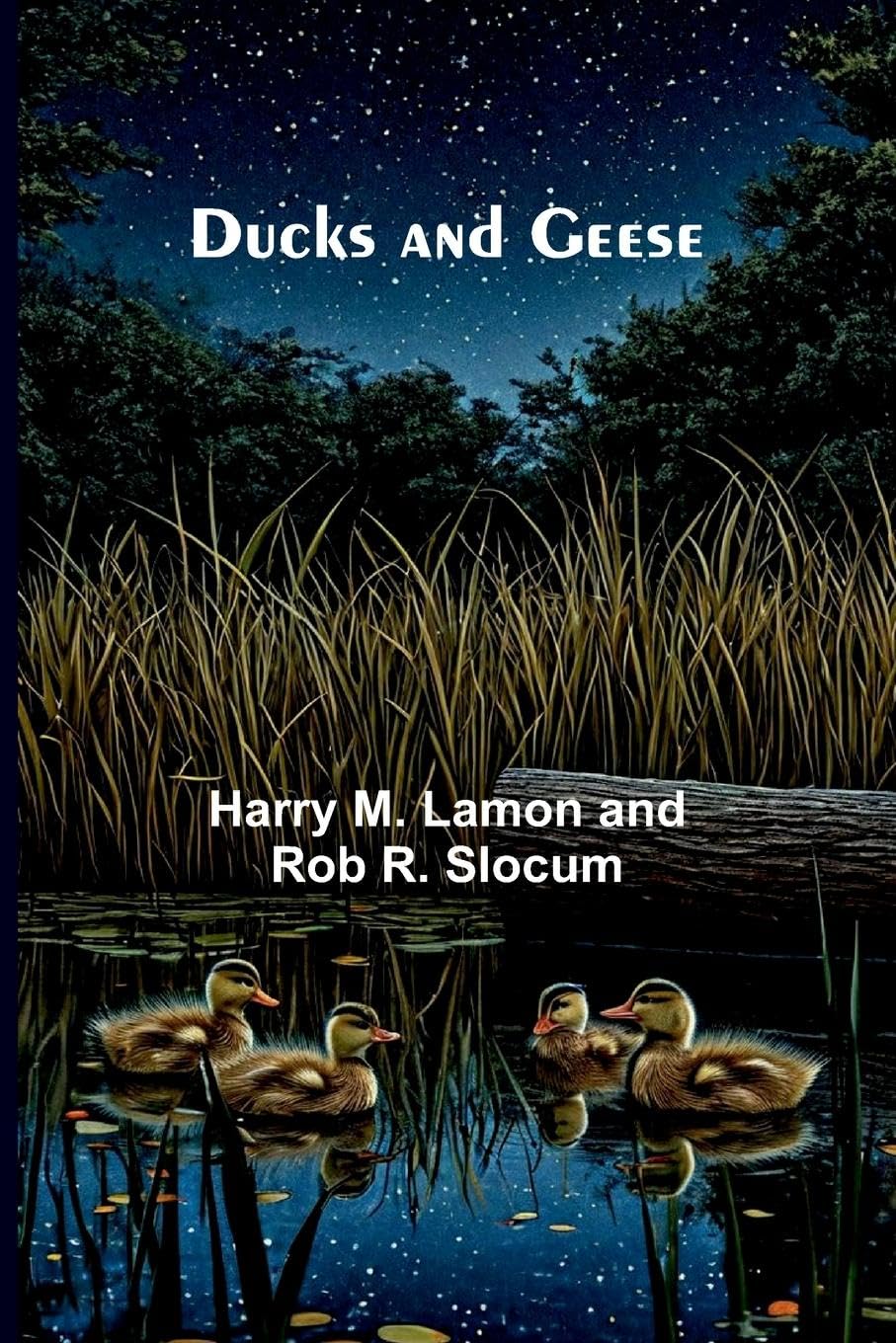 Ducks and Geese Action & Adventure