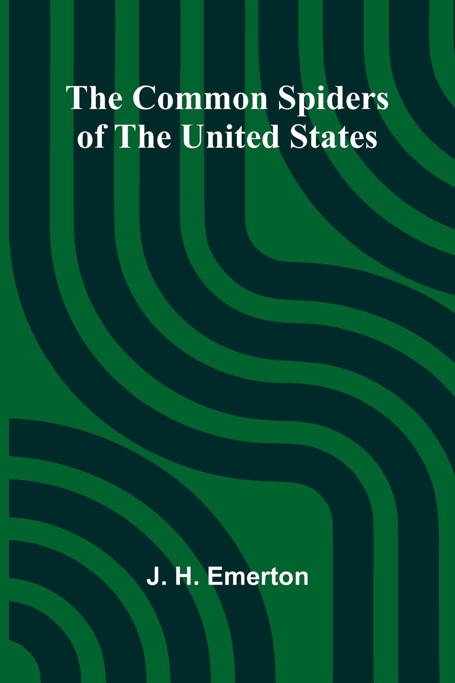 The Common Spiders Of The United States Mathematics