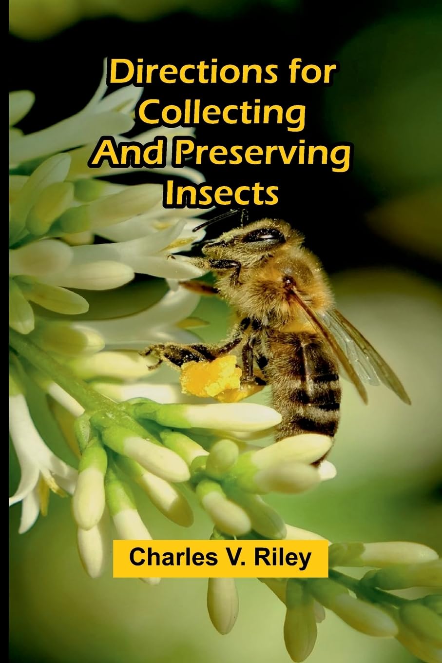 Directions For Collecting And Preserving Insects Leisure, Home & Garden
