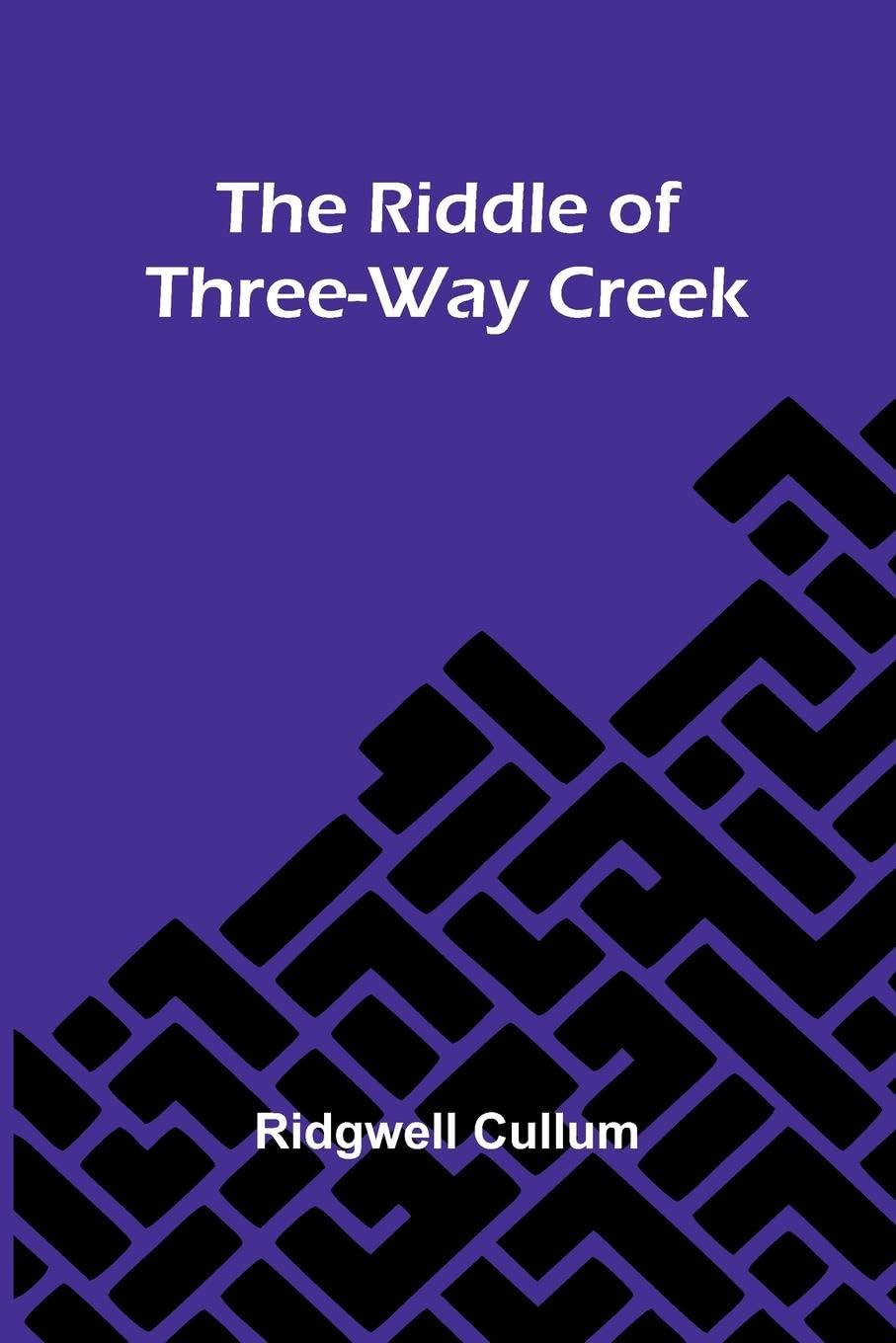 The Riddle Of Three-Way Creek Historical Fiction
