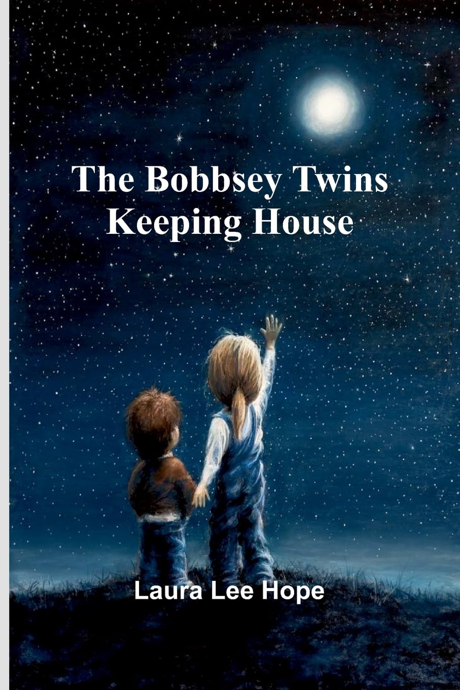 The Bobbsey Twins Keeping House Non-fiction