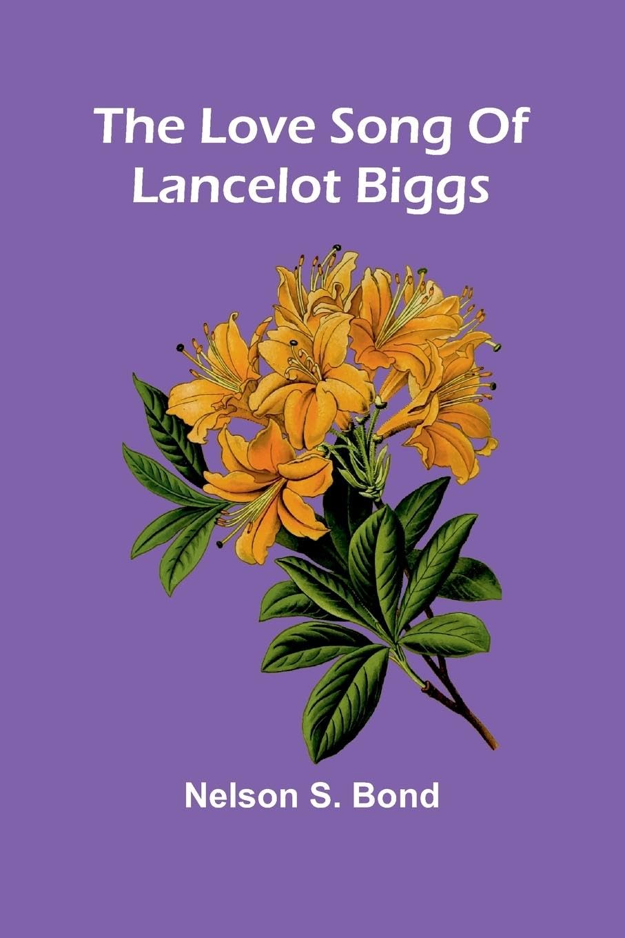 The Love Song Of Lancelot Biggs Contemporary literature
