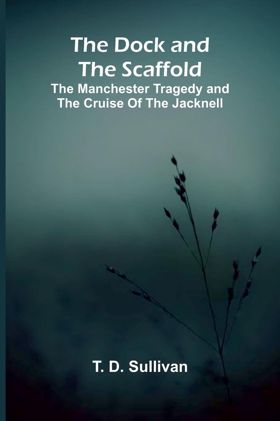 The Dock and the Scaffold; The Manchester Tragedy and the Cruise of the Jacknell Action & Adventure