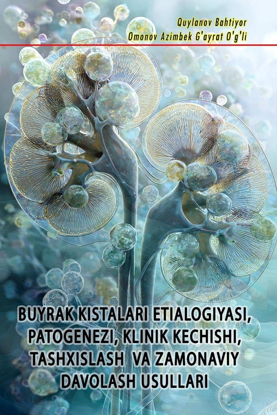 Buyrak Kistalari Etialogiyasi, Patogenezi, Klinik Kechishi, Tashxislash Va Zamonaviy Davolash Usullari Medicine