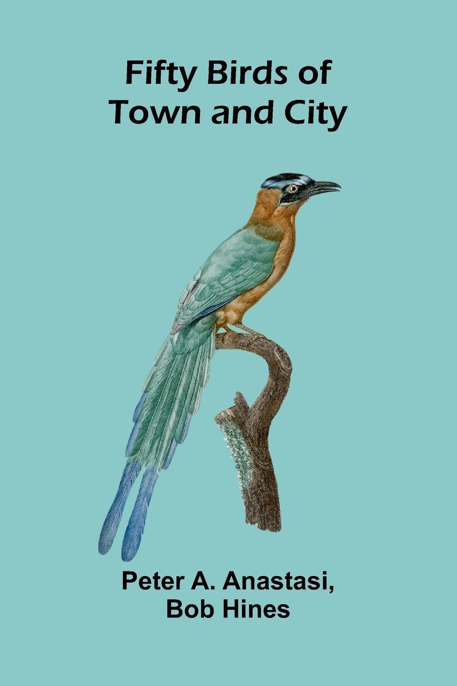 Fifty Birds of Town and City Mathematics